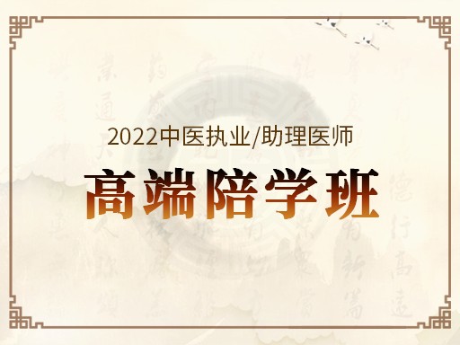 2022年昭昭医考中医执业/助理医师高端陪学A班